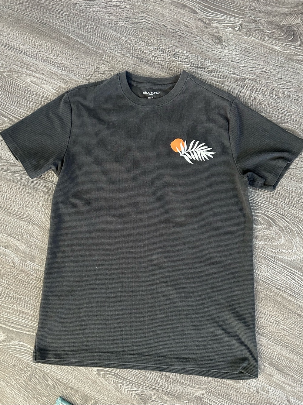 Public supply nyc gray antra Men's embroidered Graphic Tee